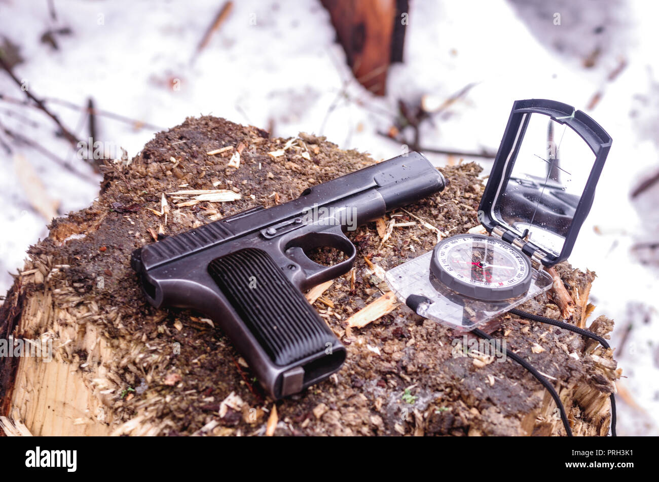 Pistol and compass on the stump. Military composition. Front view. Stock Photo