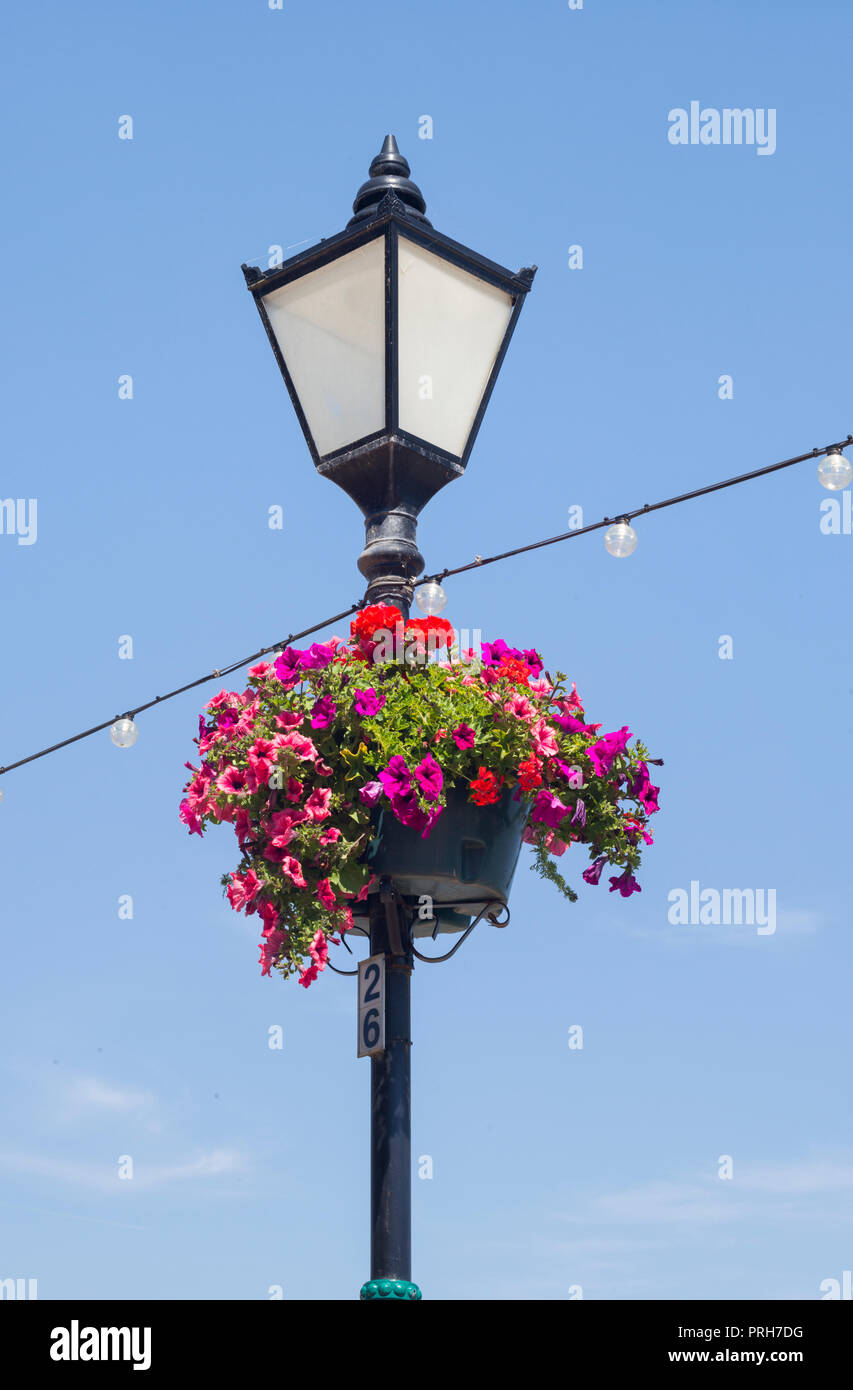 Lamp Post Hanging Flower Basket High Resolution Stock Photography and