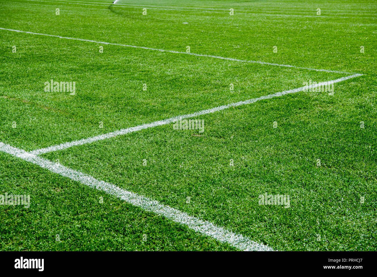 Close up of the out of bounds line on a turf football field. Green