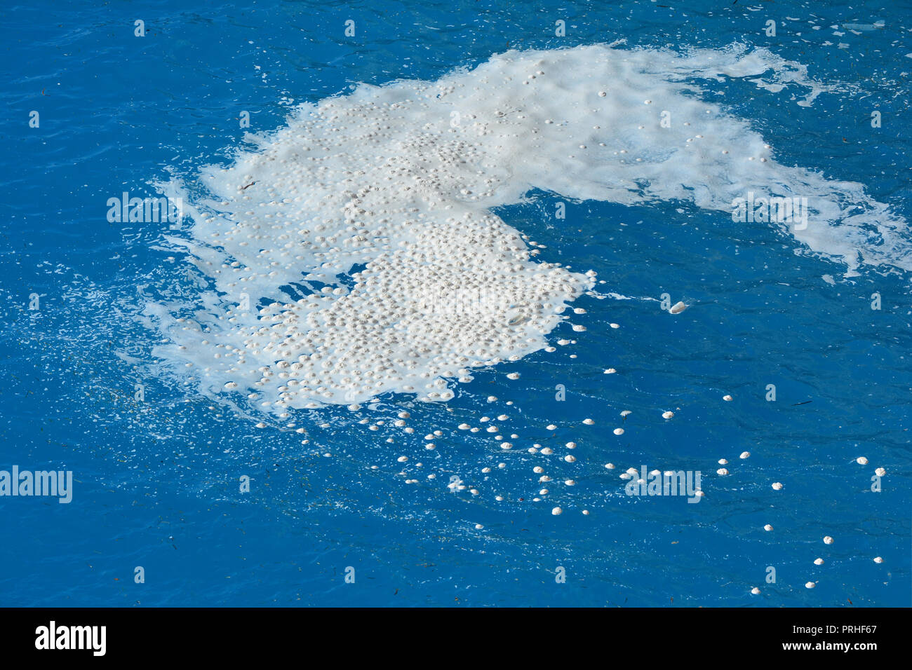 Sea snots or Marine snow, or Marine Mycilage on water surface in Ionian sea during summer Stock Photo