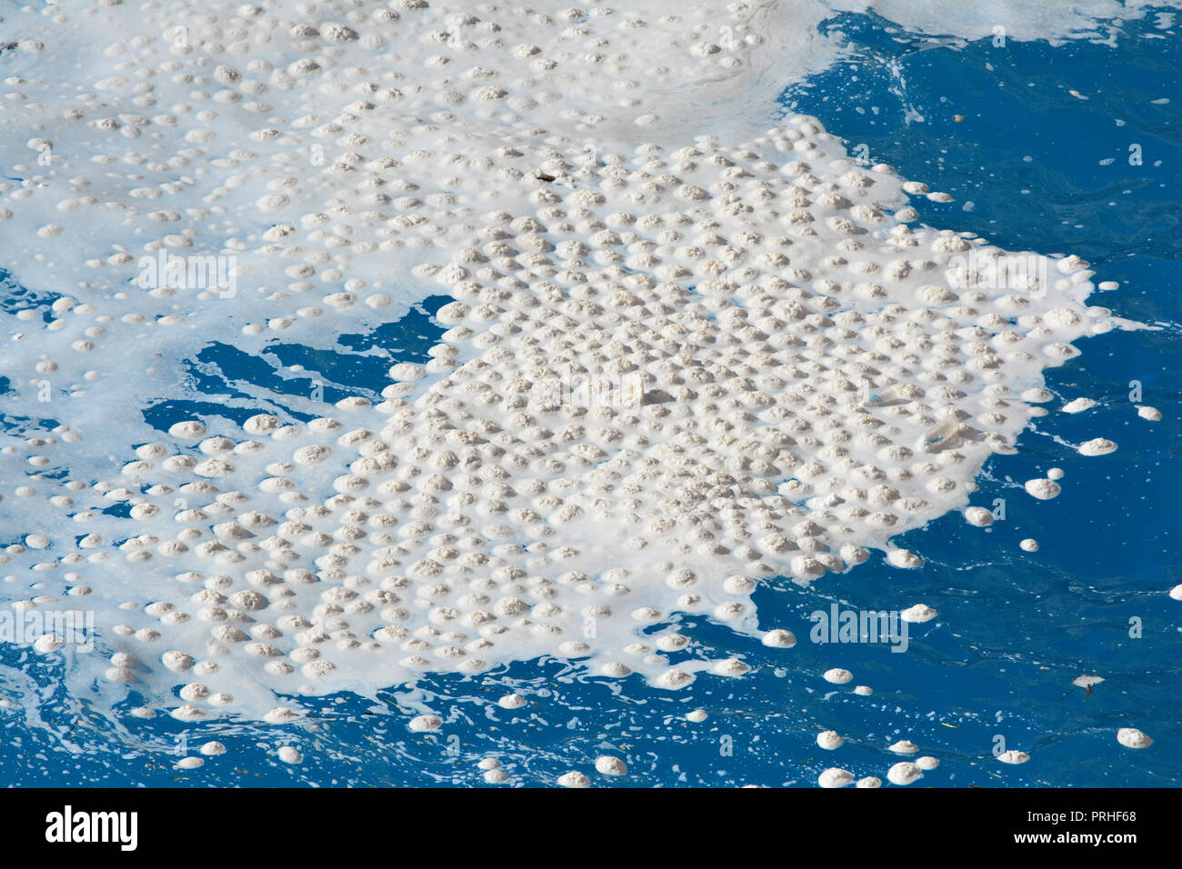 Sea snots, or Marine Mycilage, or Marine snow on the surface of Ionian Sea, close up view Stock Photo