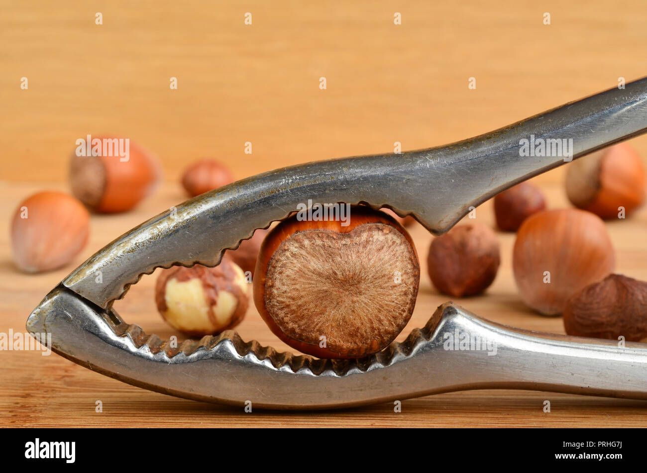 Hazelnut in nutcrackerin foreground and some hazelnuts in background on wooden table surface Stock Photo