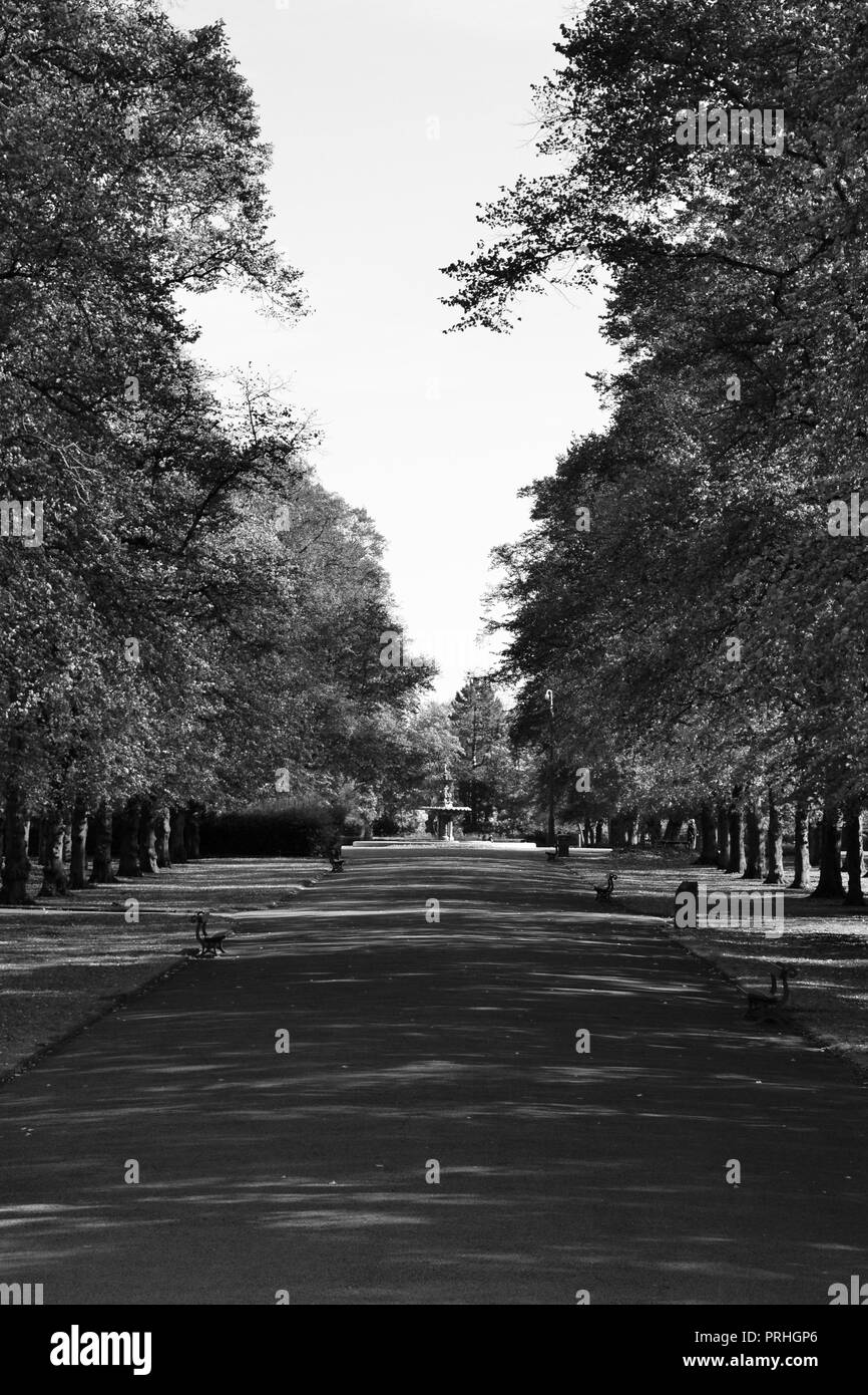 Beautiful, naturally lit black and white photographs of Ropner Park, a traditional Victorian public park in Stockton-on-Tees, UK at the start of Autumn. Stock Photo