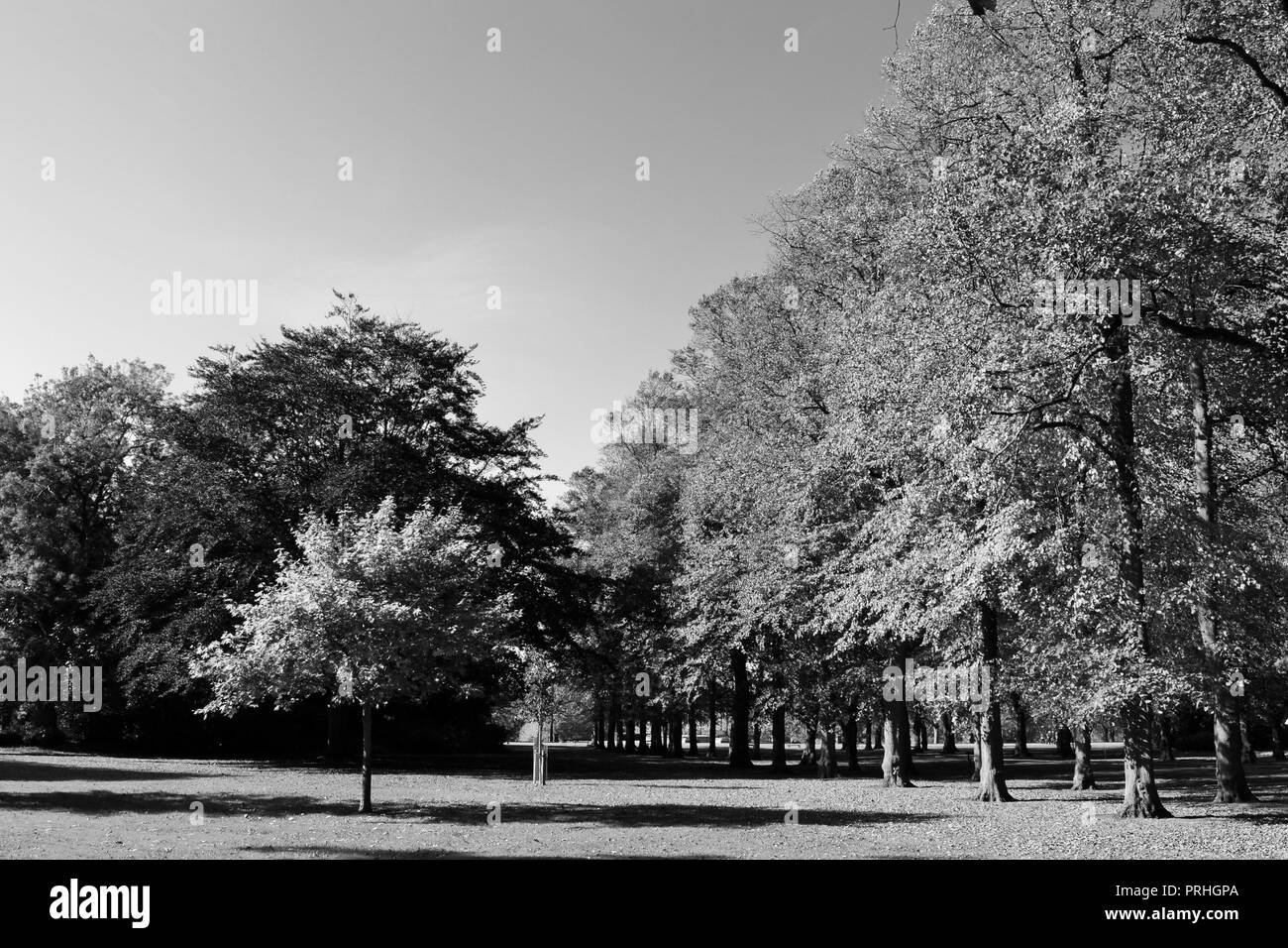 Beautiful, naturally lit black and white photographs of Ropner Park, a traditional Victorian public park in Stockton-on-Tees, UK at the start of Autumn. Stock Photo