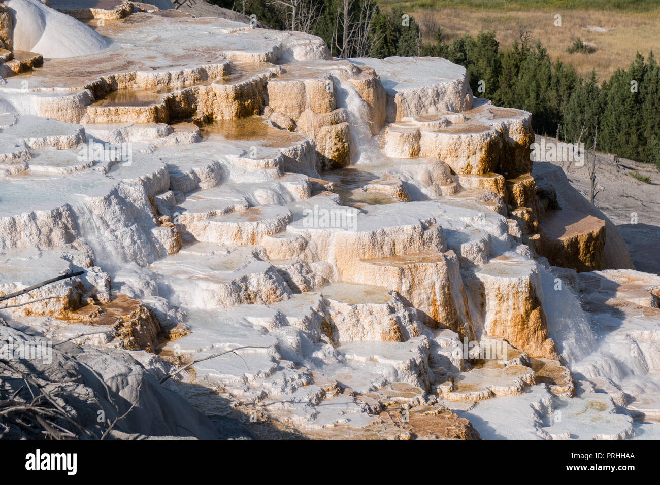 Canary Spring at Mammoth Hot Springs in Yellowstone National Park Stock Photo