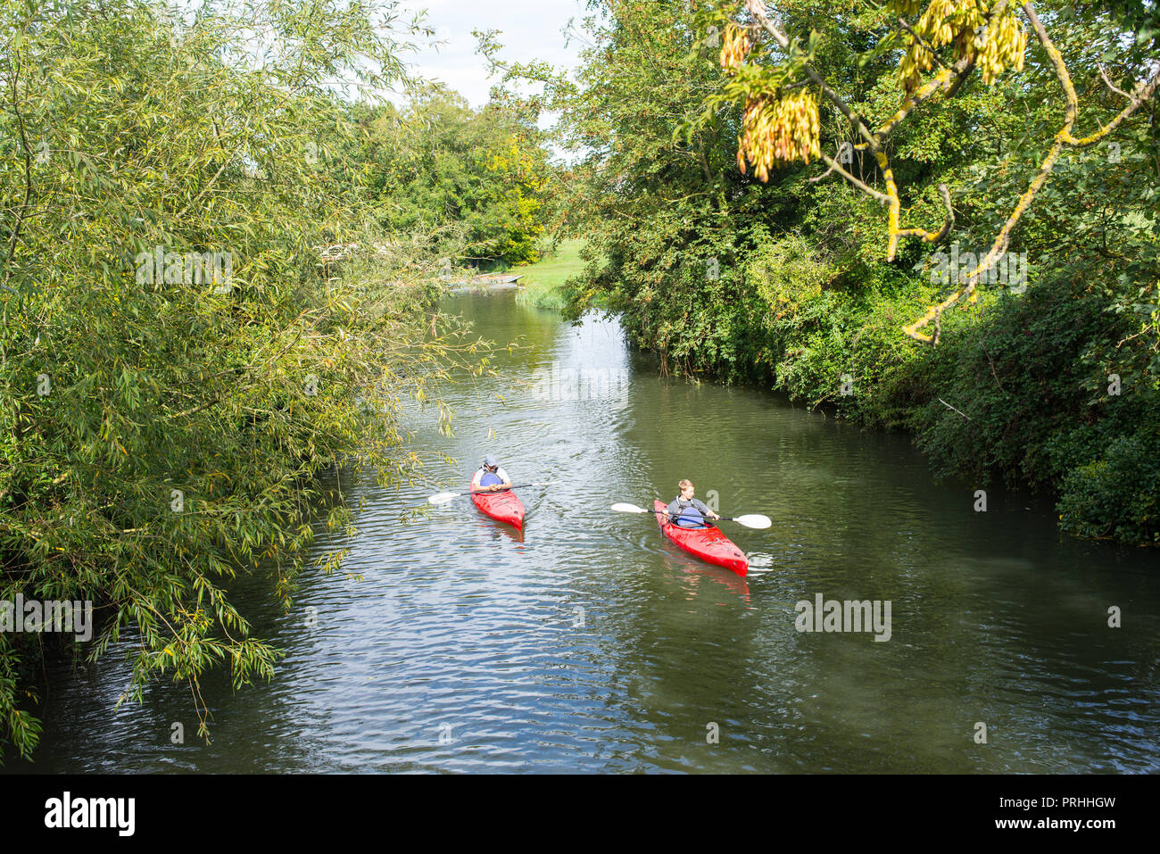 Cambridge, UK -  September 2018. Two men kayaking on red single kayaks on a muddy small river (river Cam) surrounded by lush vegetation. Stock Photo