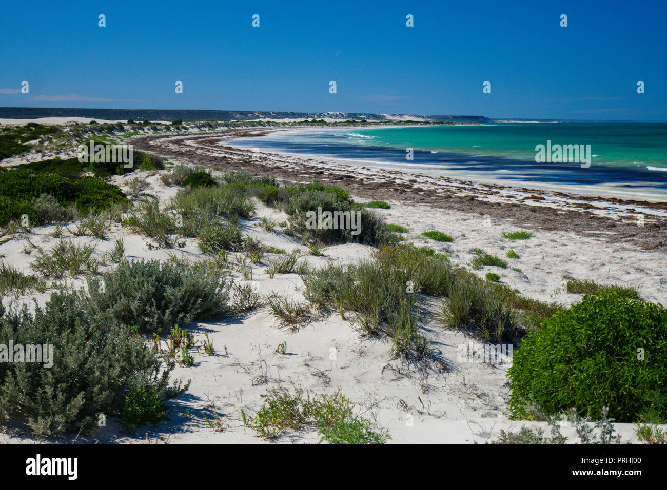 Empty white sand beach on the coastline of the Great Southern Ocean at Eucla Western Australia Stock Photo
