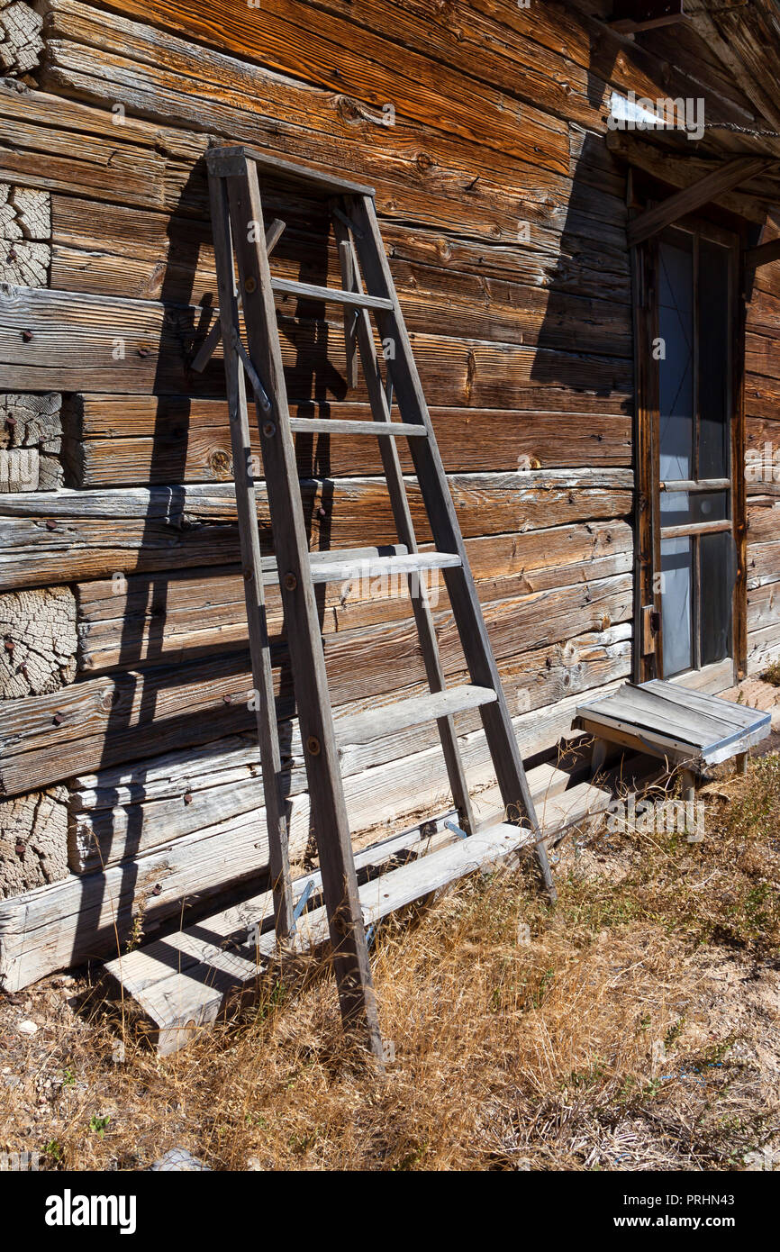 A ladder leans against an abandoned log timber shack in Cherry Creek, Nevada. Stock Photo