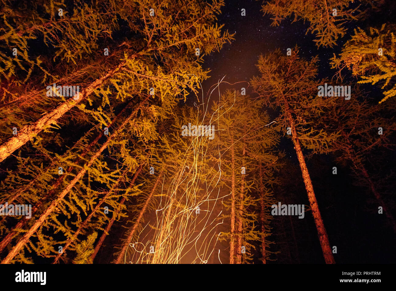 Sparks from a bonfire night in the woods flying in the sky. Fire in the woods under a starry sky, the trees illuminated by the light from the fire, th Stock Photo