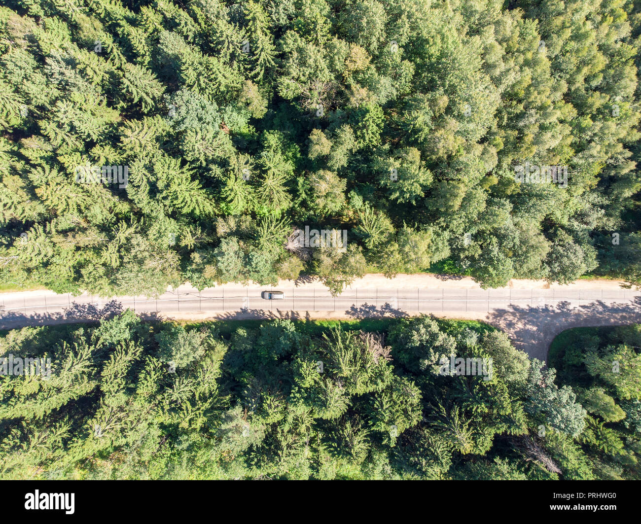 In green forest hi-res stock photography and images - Alamy