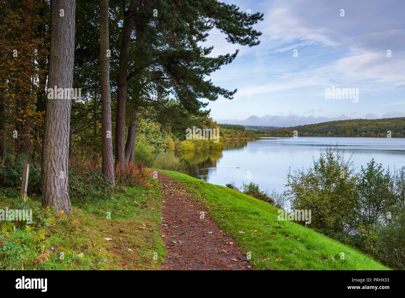 Scenic view from path, of beautiful quiet calm tree-lined lake under deep blue sky - Fewston Reservoir, Washburn Valley, North Yorkshire, England, UK. Stock Photo