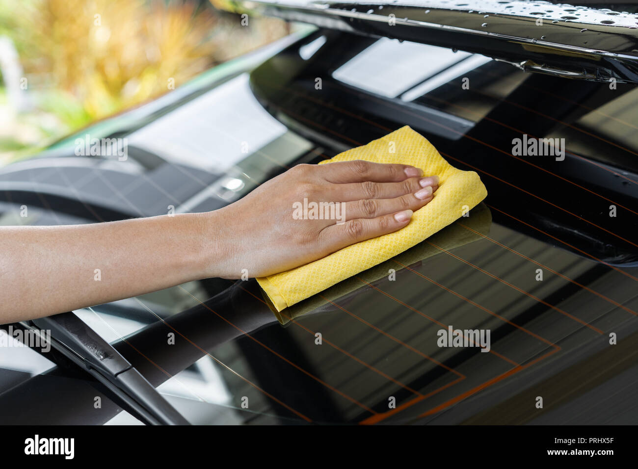 Hand wiping the windshield of a car on a sunny day. Wipe dry with an orange  sponge. Rag wipes water stains on the window Stock Photo - Alamy