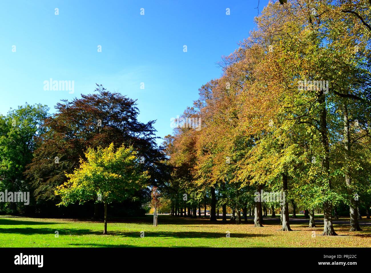 Bright, colourful, naturally lit images showing Ropner Park, a traditional British Victorian public park in Stockton-on-Tees, at the start of Autumn. Stock Photo