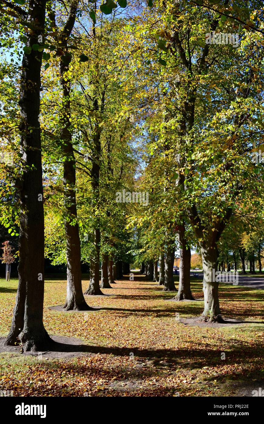 Bright, colourful, naturally lit images showing Ropner Park, a traditional British Victorian public park in Stockton-on-Tees, at the start of Autumn. Stock Photo