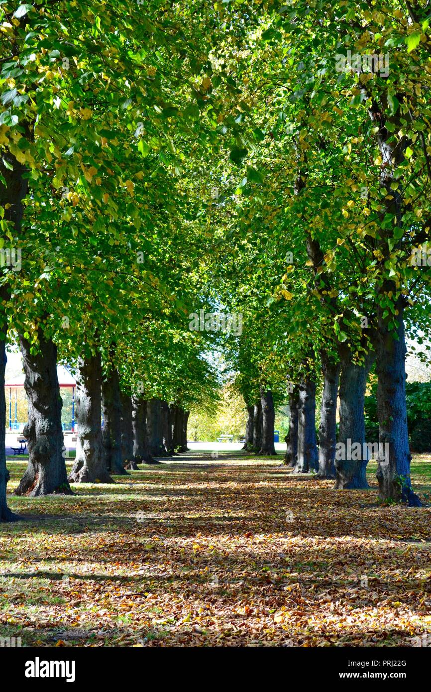 Bright, colourful, naturally lit images showing Ropner Park, a traditional British Victorian public park in Stockton-on-Tees, at the start of Autumn. Stock Photo