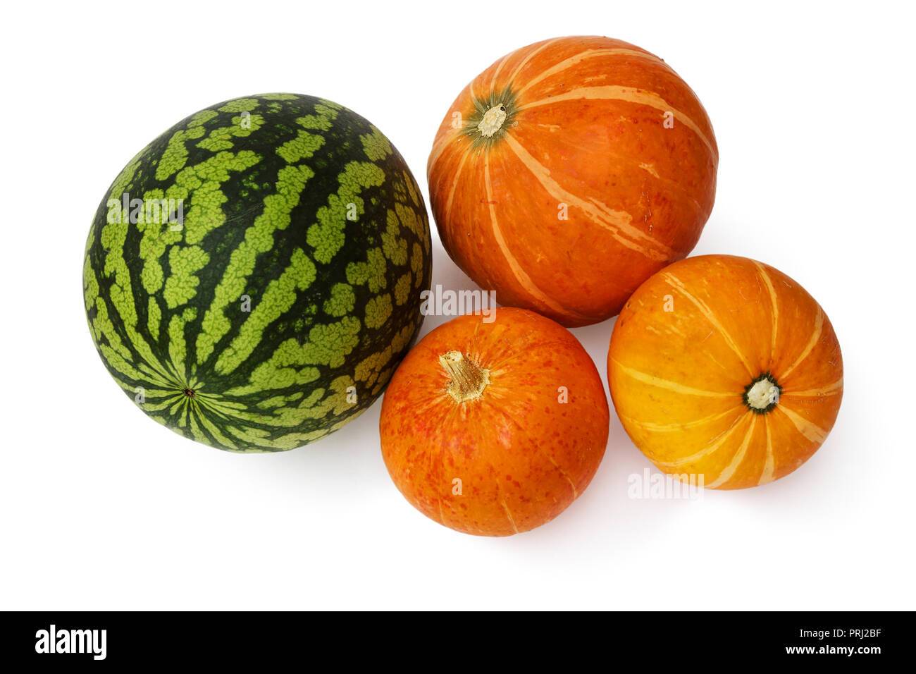 Watermelon and three pumpkins on a white background Stock Photo