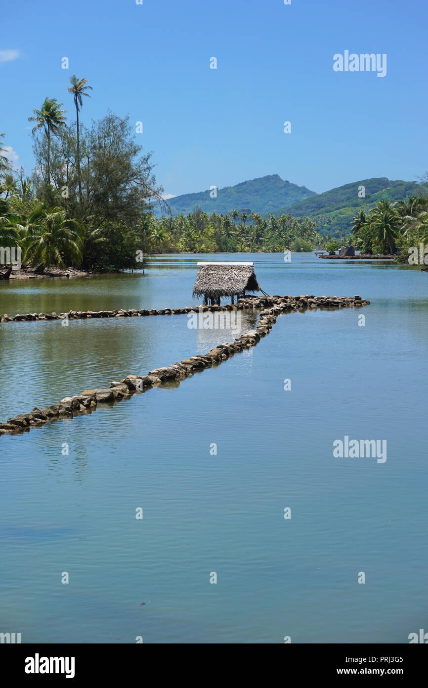 A traditional Polynesian fishing trap made with stones in a channel between a lake and the ocean, Huahine island, French Polynesia, South Pacific Stock Photo