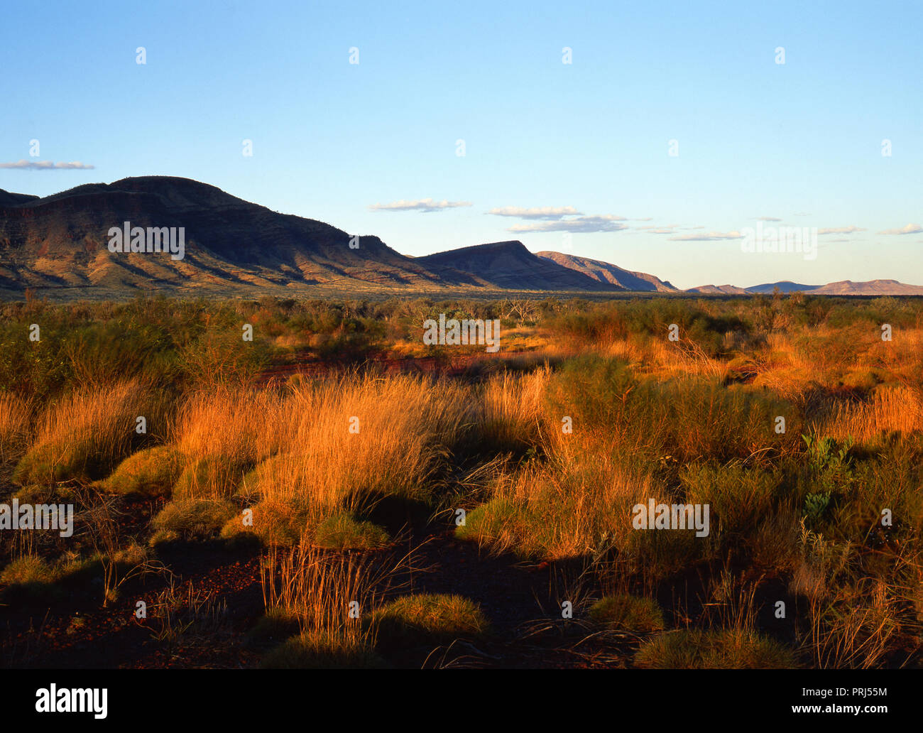 Hamersley rangers hi-res stock photography and images - Alamy