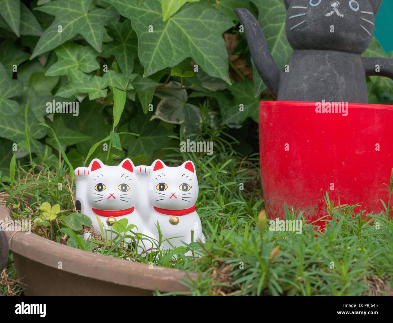 Ceramic Japanese Cats or lucky Cat ( Maneki Neko ) at Imado