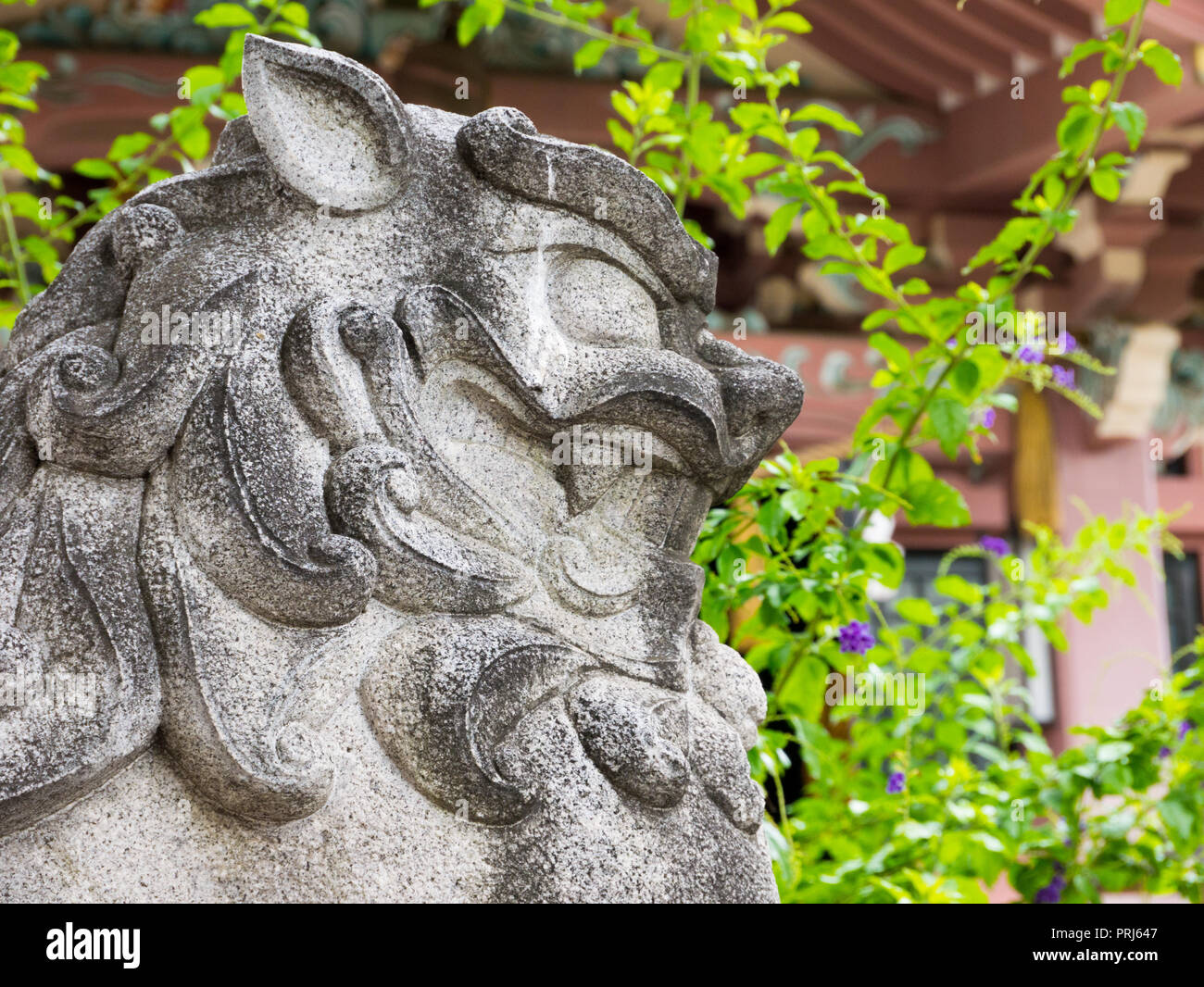 Japanese Guardian LionDog at a Temple. Bronze Statue, Closeup of Face