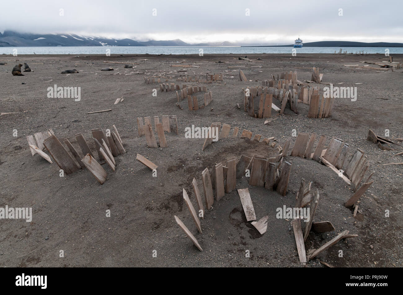 Remains of wooden whale oil barrels, Whalers Bay, Deception Island, Antarctic Peninsula Stock Photo