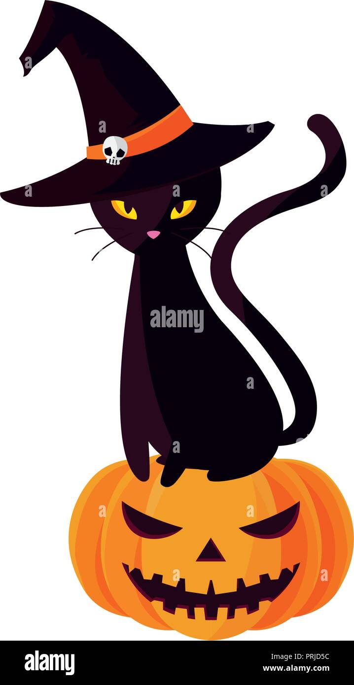 halloween black cat with pumpkin character vector illustration design ...