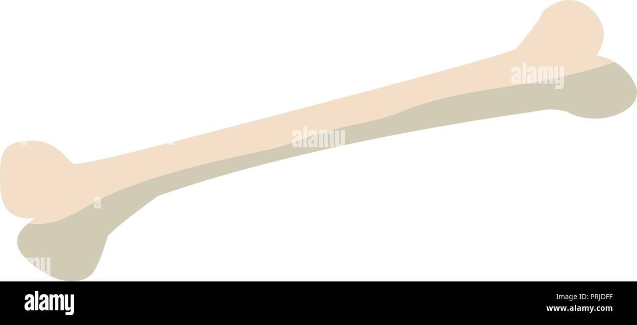 human bone isolated icon vector illustration design Stock Vector Image ...