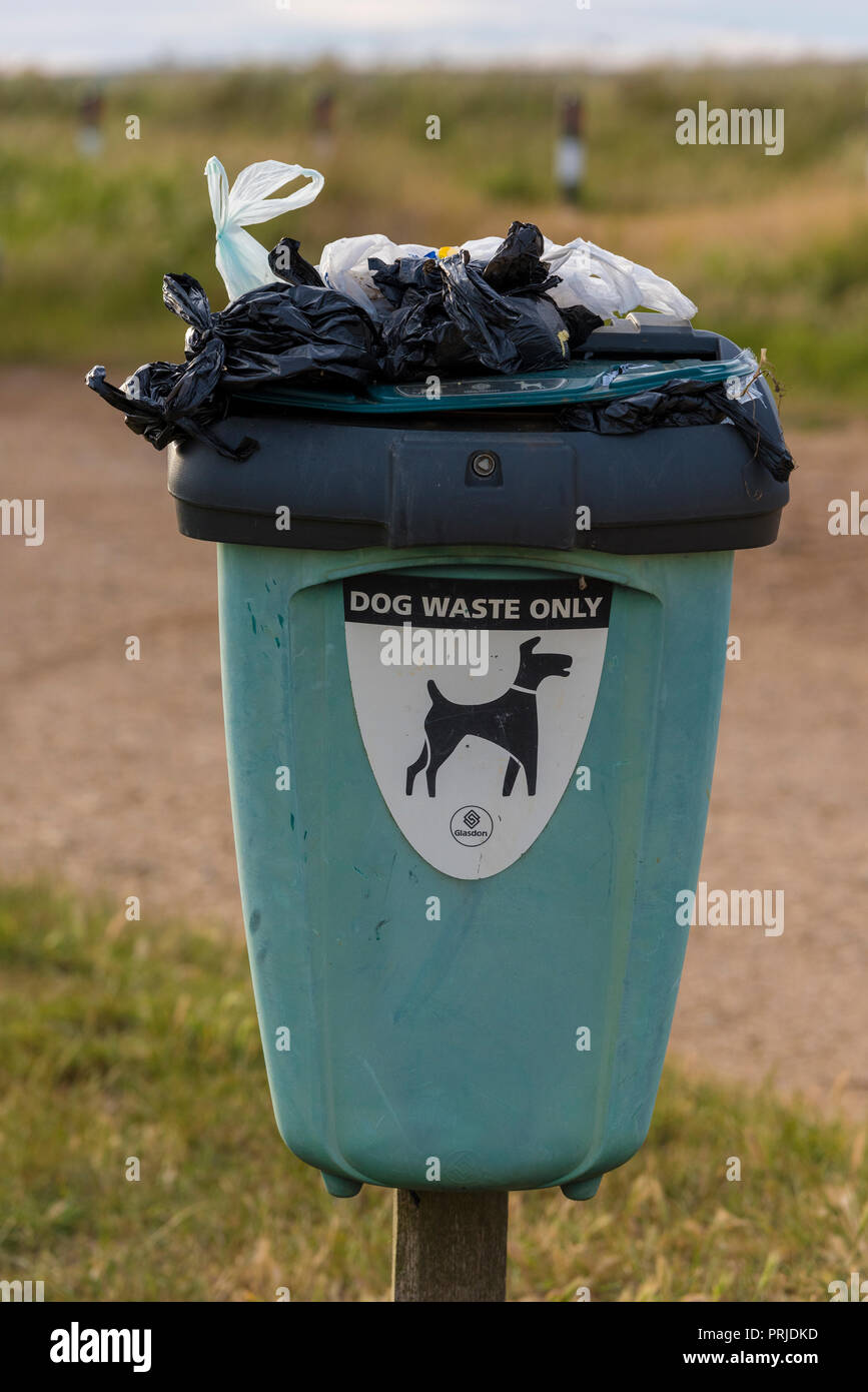 an overflowing dog waste bin. bags of dog poo left in public places