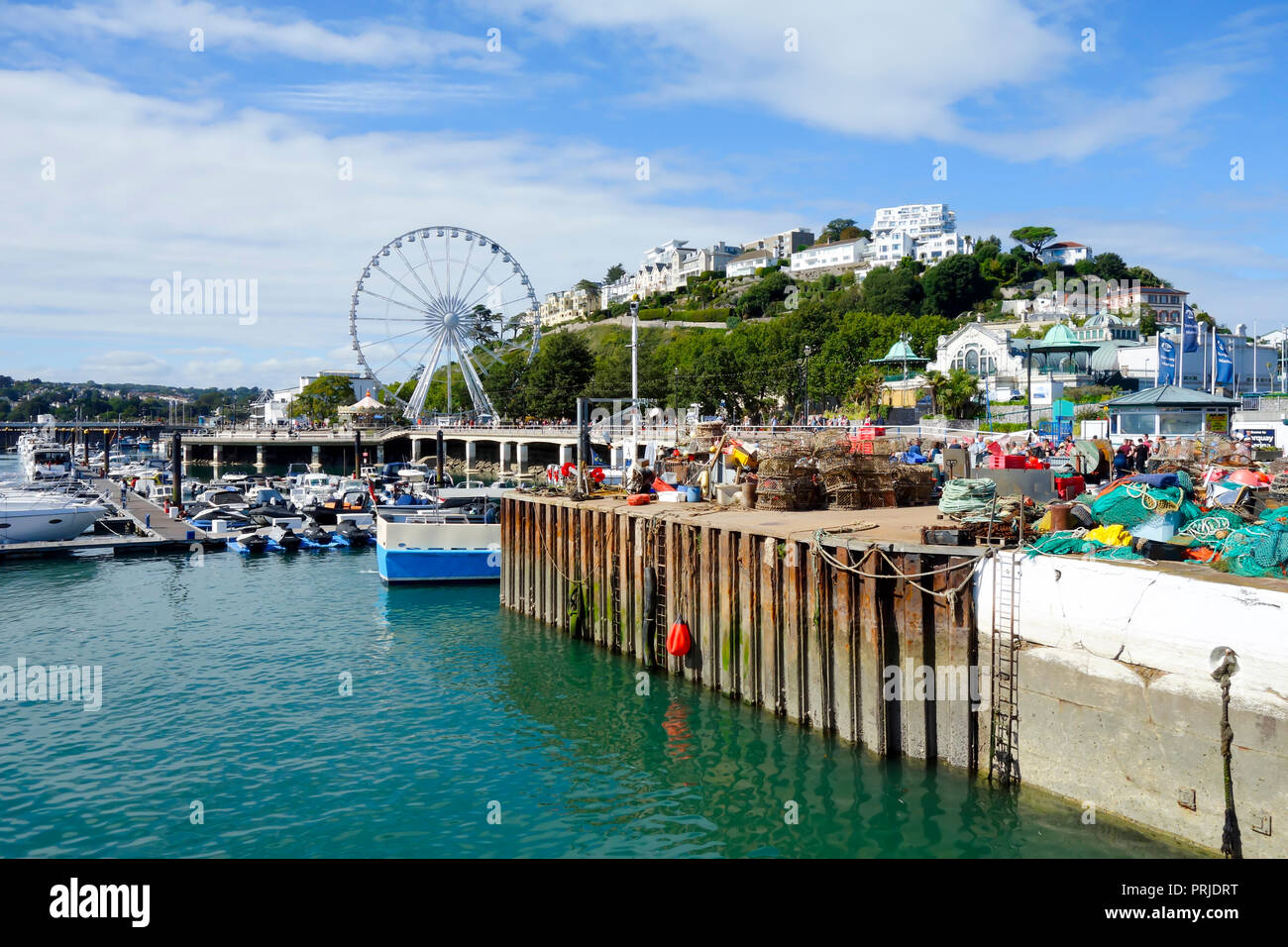 Town and Harbour, Torquay, Devon, England, United Kingdom, Europe Stock Photo Alamy