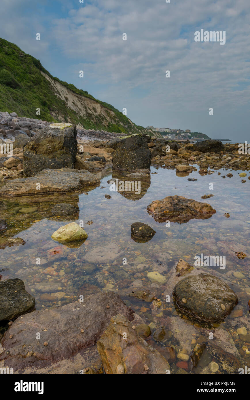 rock pools on the beach at steephill cove at ventnor on the isle of wight. Stock Photo