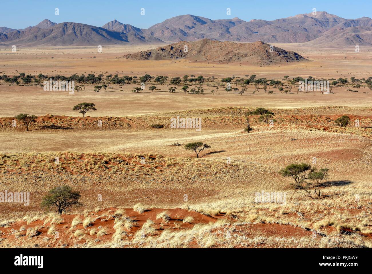 Dry grasslands in front of ridges, Gondwana Namib Park, near Sesriem, Hardap Region, Namibia Stock Photo