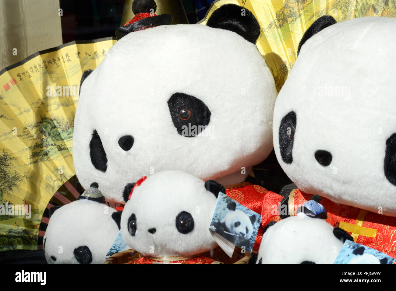 Stuffed panda bear animals for sale in a souvenir shop in Chinatown, San Francisco, California USA Stock Photo