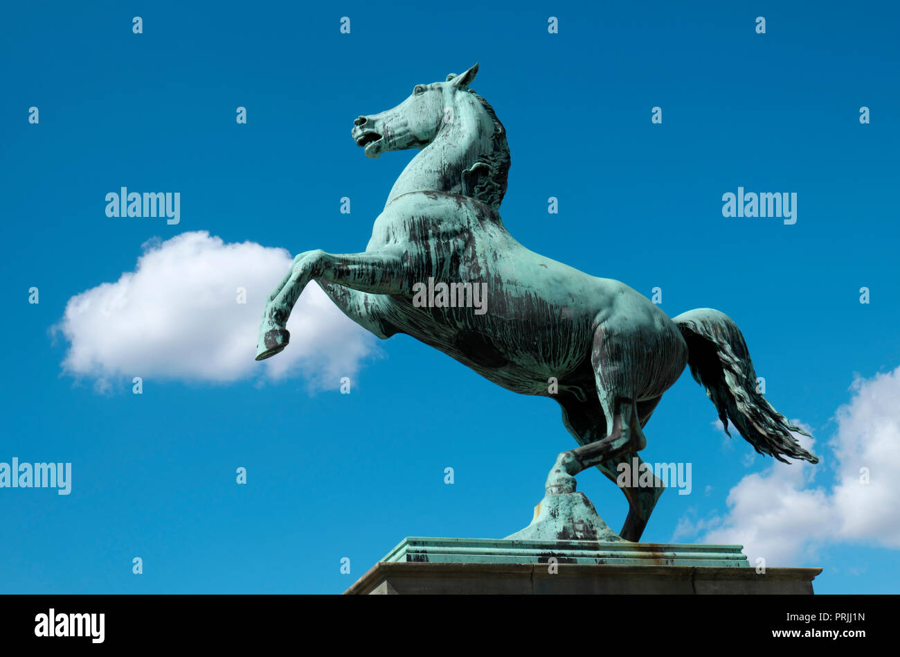 Horse Statue, heraldic animal of Hanover, Hanover, Lower Saxony, Germany Stock Photo