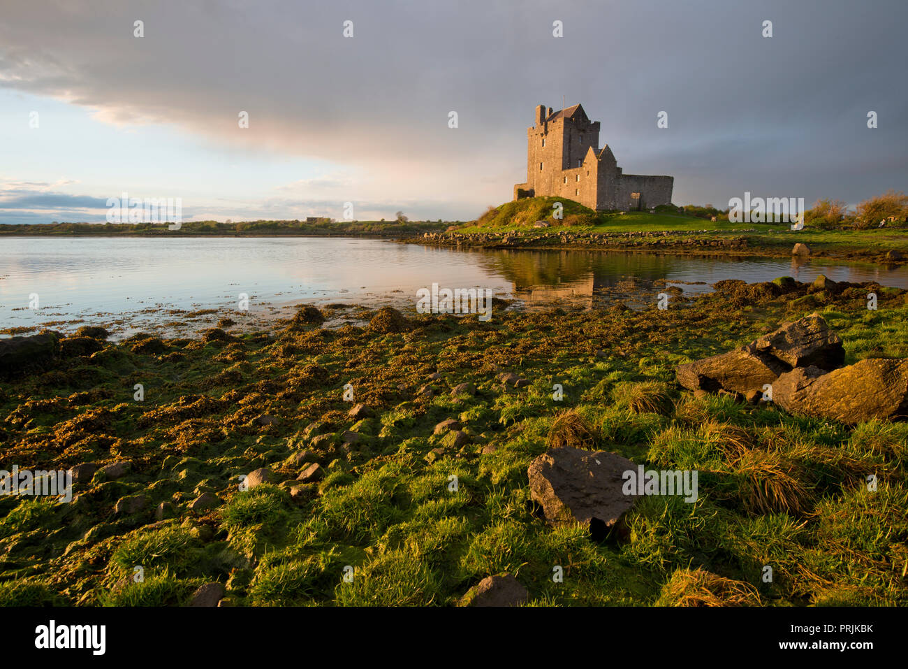 Dunguaire Castle at dusk, Kinvara, Cinn Mhara, County Galway, Ireland Stock Photo