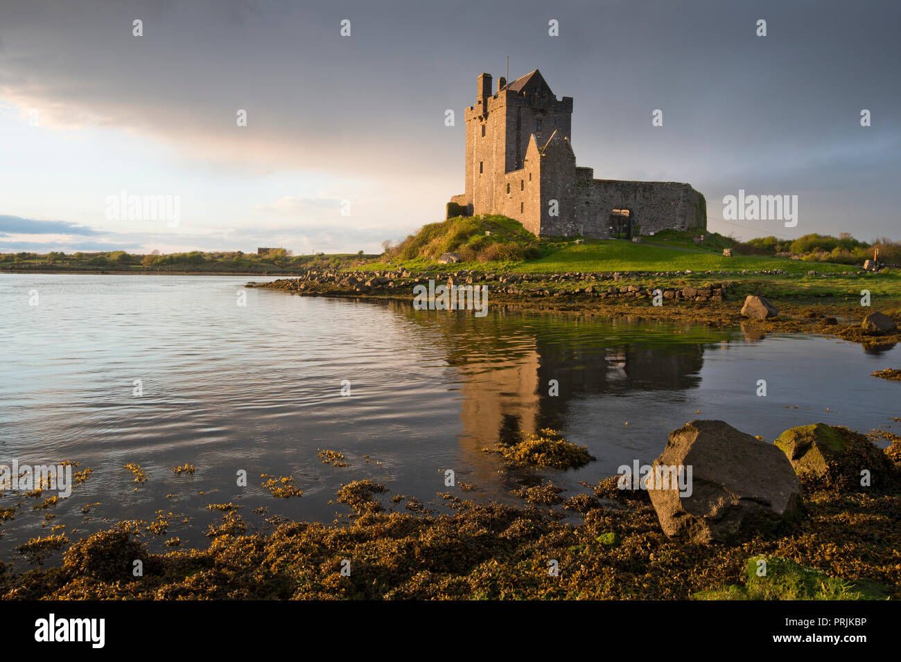 Dunguaire Castle at dusk, Kinvara, Cinn Mhara, County Galway, Ireland Stock Photo