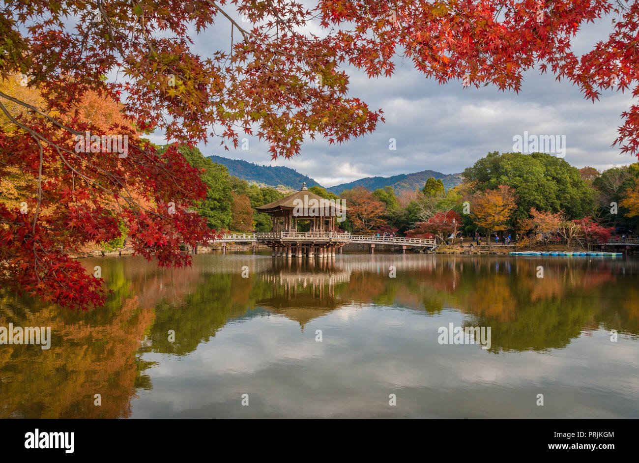 Scenic view of Nara public park in autumn, with maple leaves, pond and old pavilion, in Japan Stock Photo