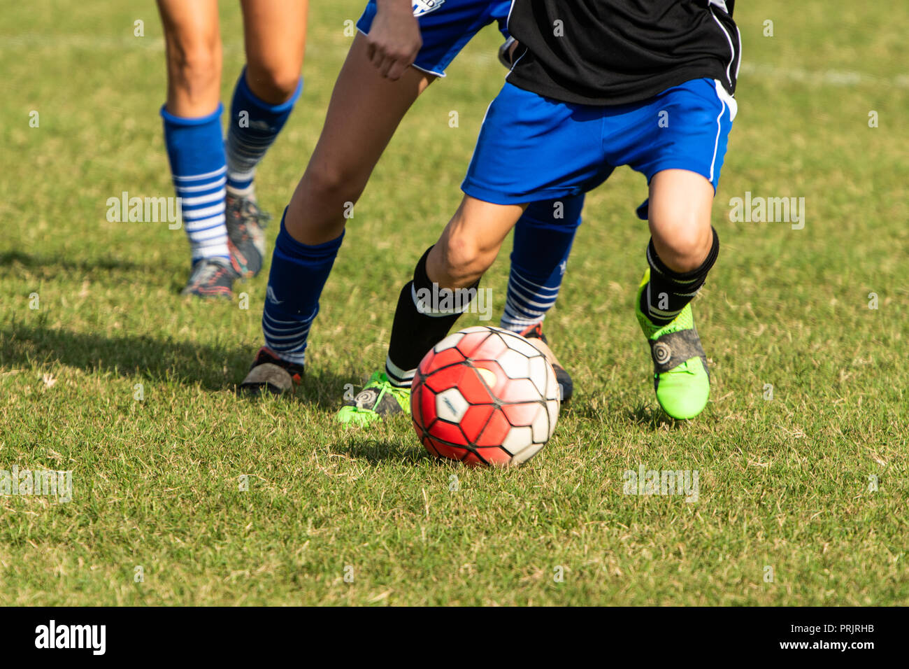 Soccer girl goalie hires stock photography and images Alamy