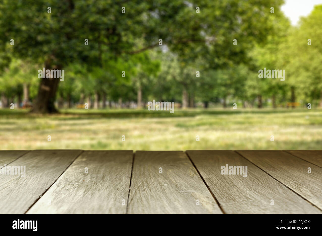 Advertisement template hi-res stock photography and images - Alamy