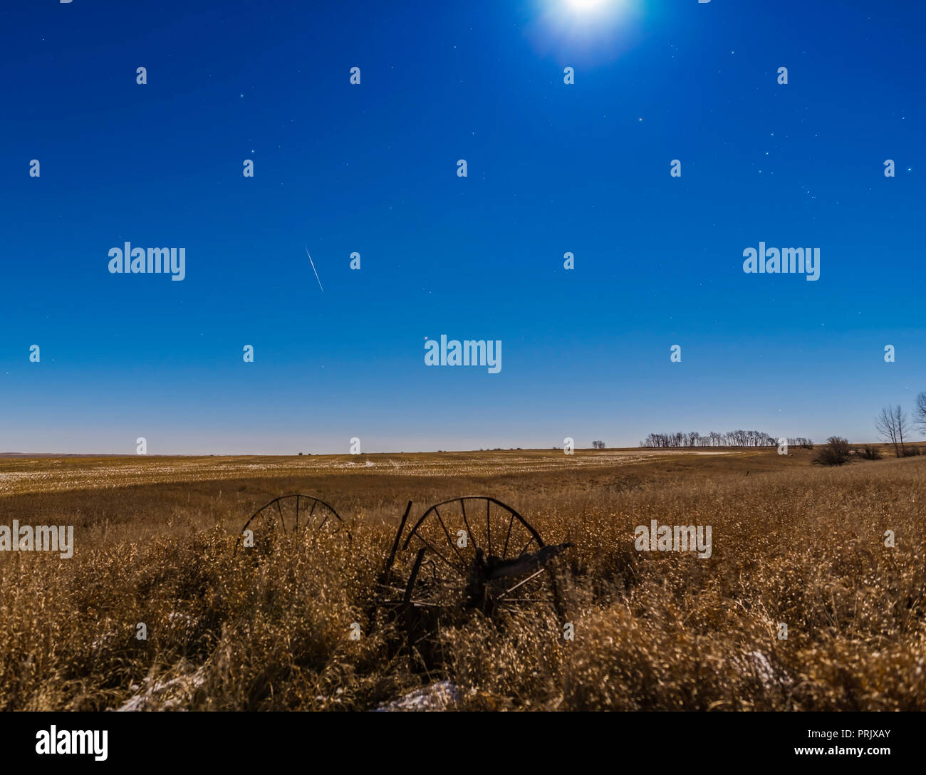 A lone Geminid meteor on the peak night of the Geminid meteor shower, December 13, 2016, competing against the bright Full Moon and a perigee Moon at  Stock Photo