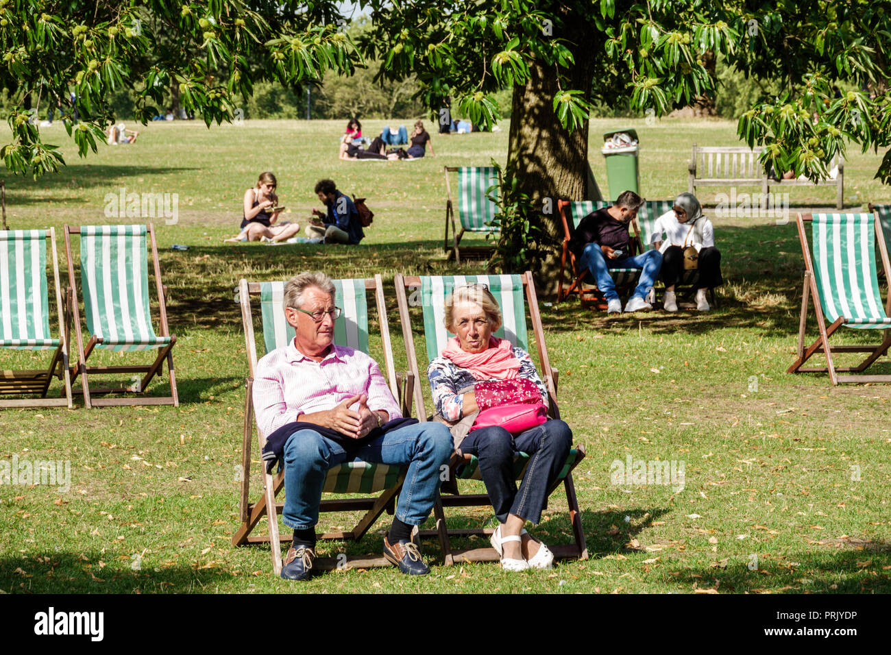 London England,UK,Royal Parks,Hyde Park,park,green space,lawn,tree,deck chairs,man men male,woman female women,couple,mature,basking in sun,sunbathing Stock Photo