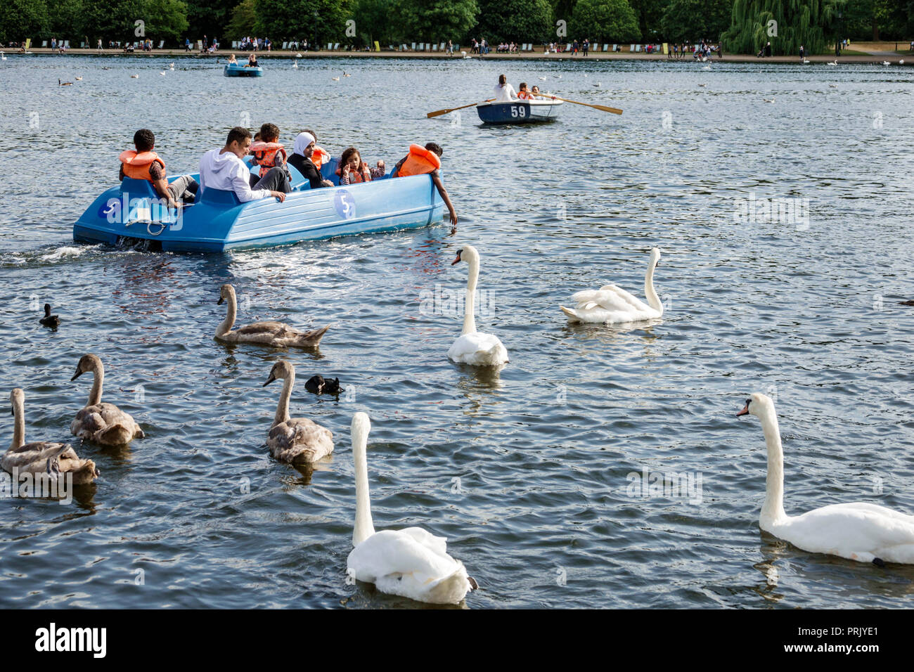 London England,UK Royal Parks,Hyde Park,green space,The Serpentine,recreational lake,pedal paddle boat,Asians man men male,woman female women,girl gir Stock Photo