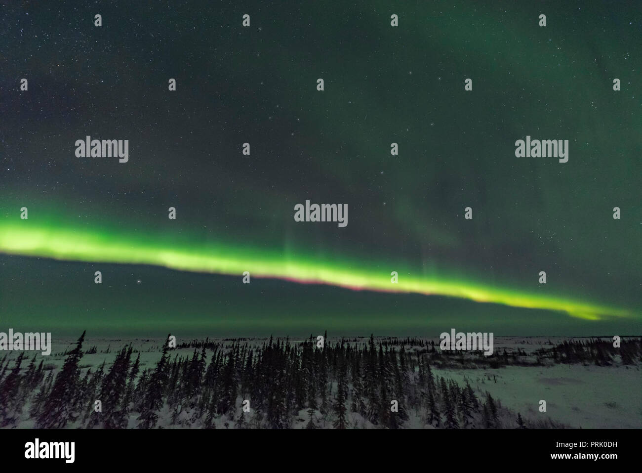 A bright display of an auroral arc across the northern horizon from the ...