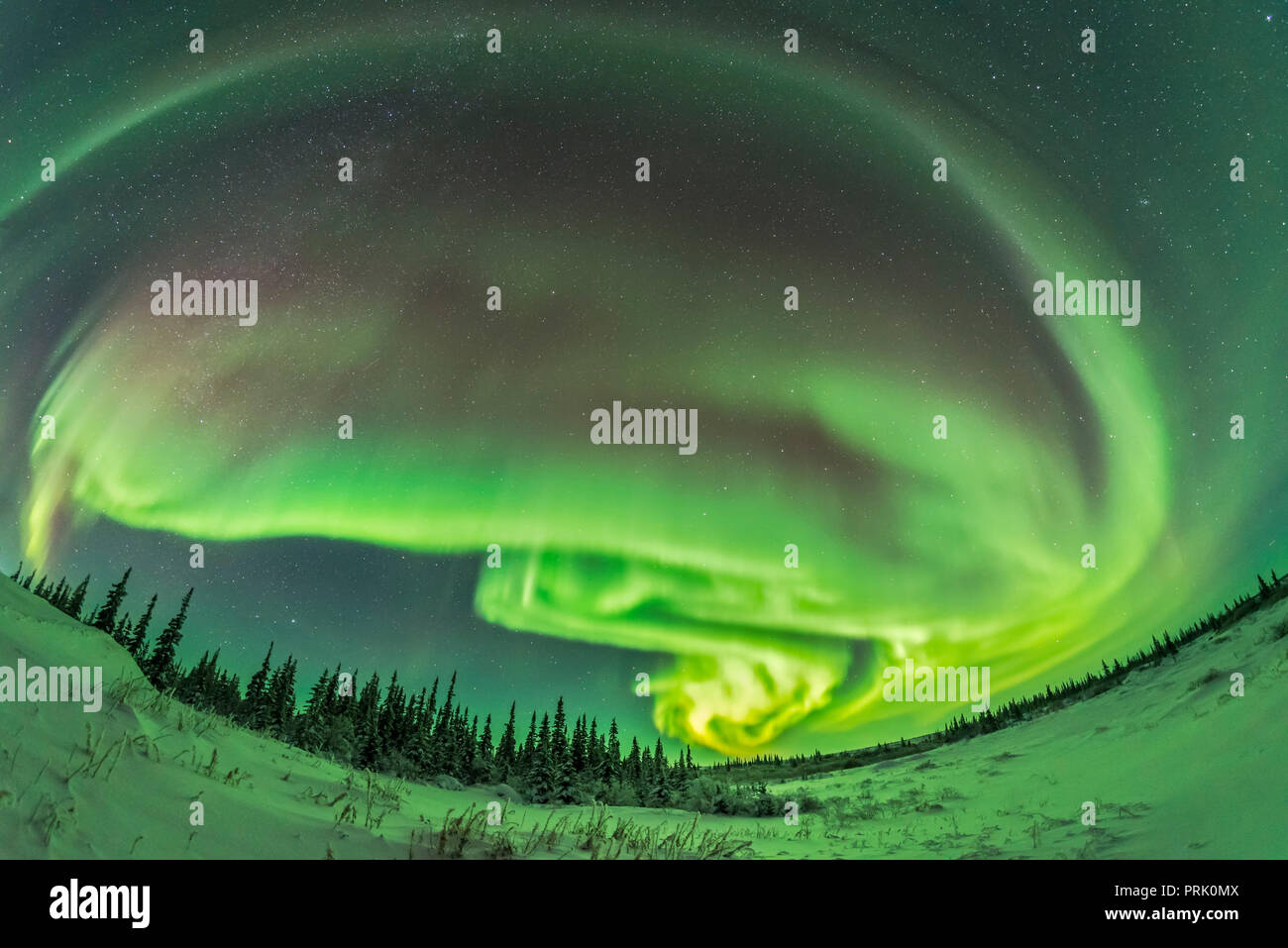 A frame from an 1100-frame time-lapse of the aurora borealis in a modest display from Churchill, Manitoba, January 27, 2017. This was toward the start Stock Photo