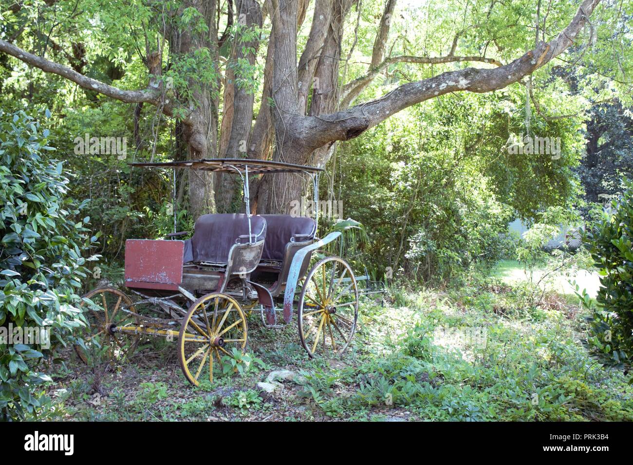 Antique horse drawn buggy succumbing to the harsh Florida climate. Stock Photo