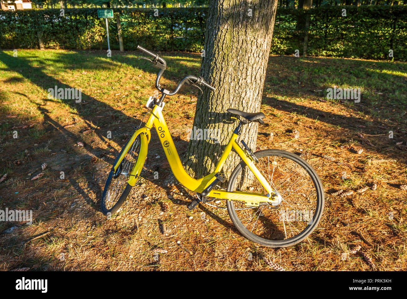 yellow bike sharing