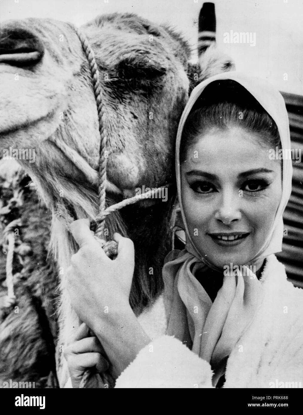 the last days of sodom and gomorrah 1962 download the last days of sodom and gomorrah 1962 download