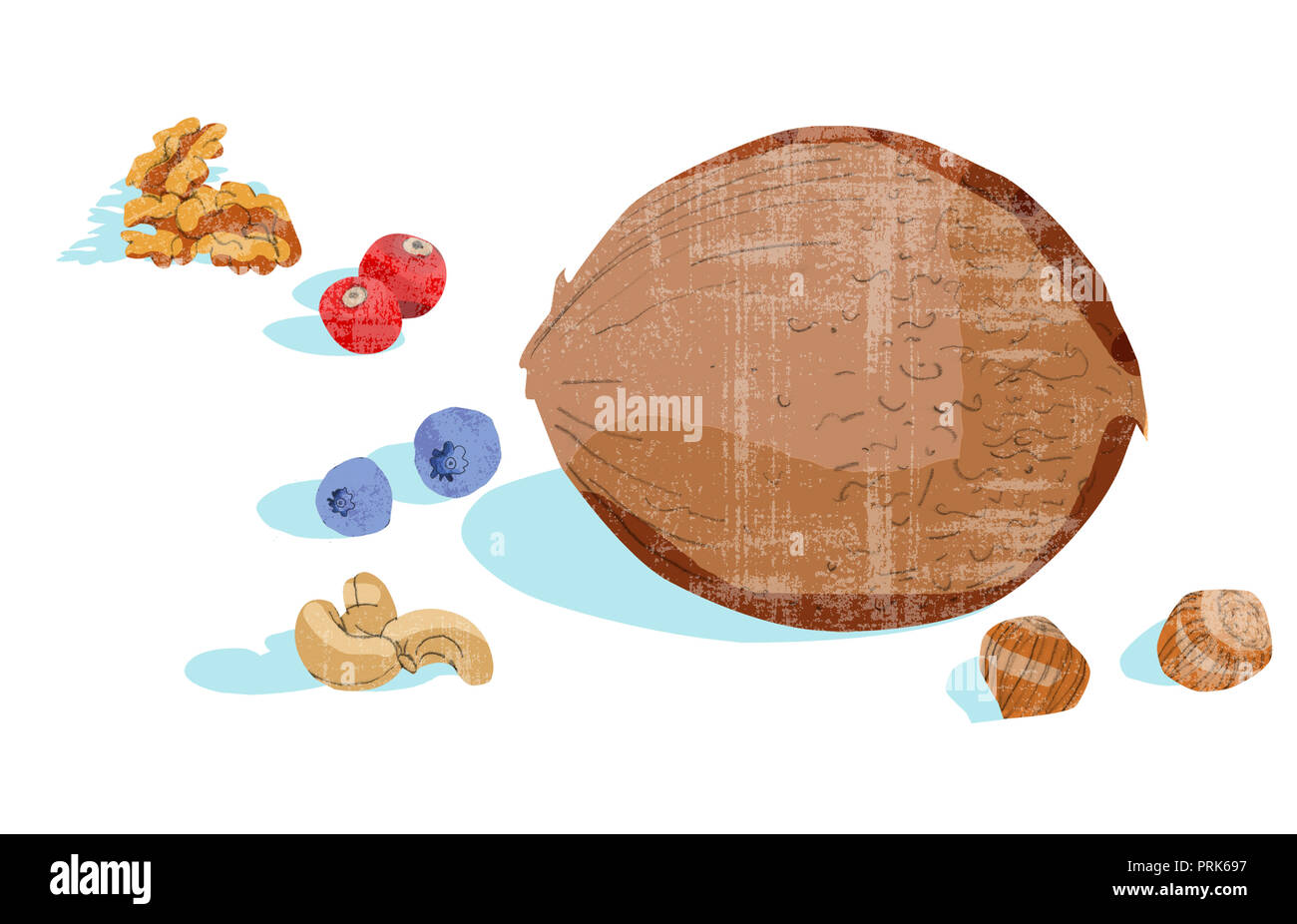nuts and berries Stock Photo Alamy