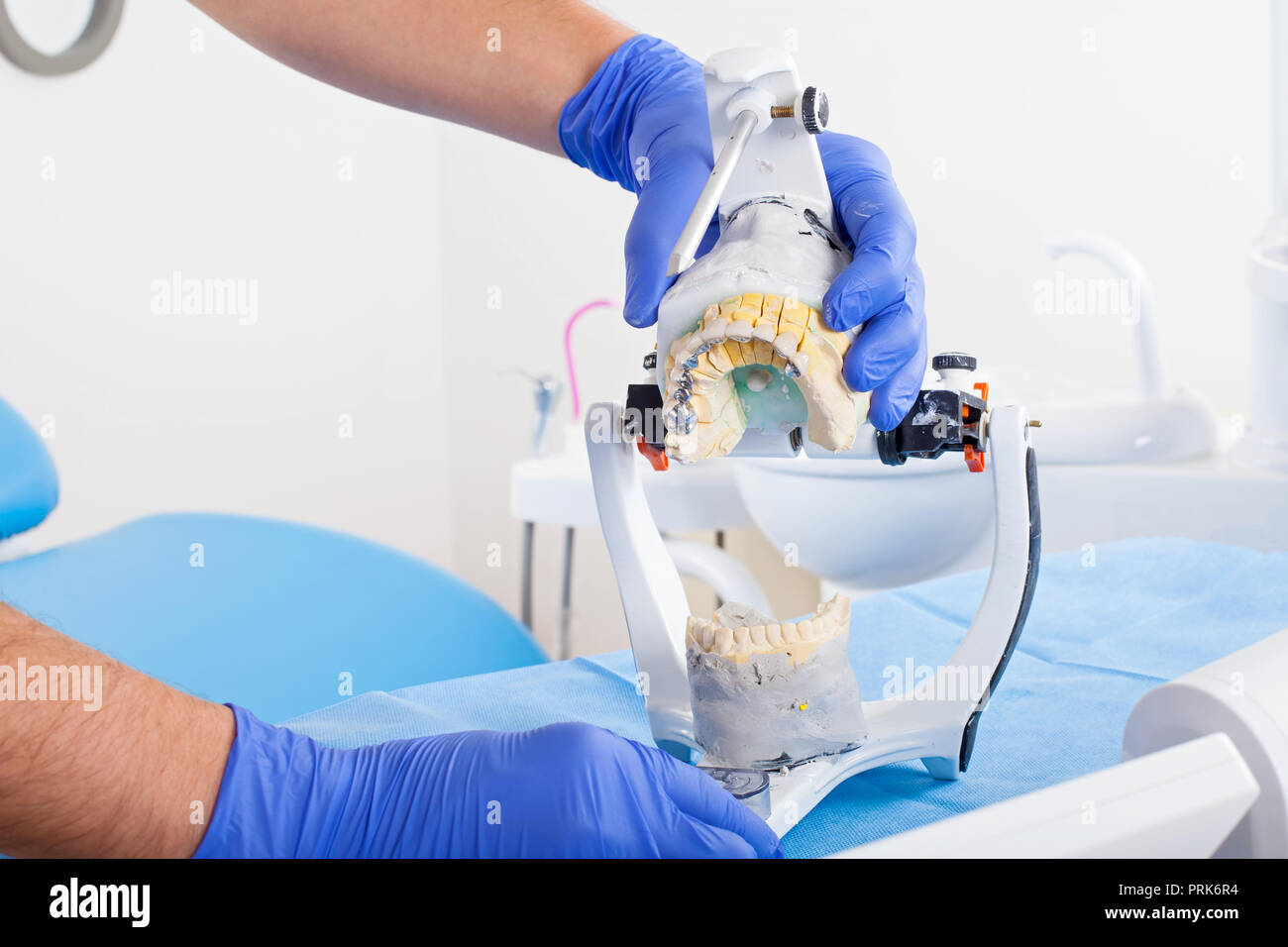 Dentist using dental articulator for a correct occlusion Stock Photo