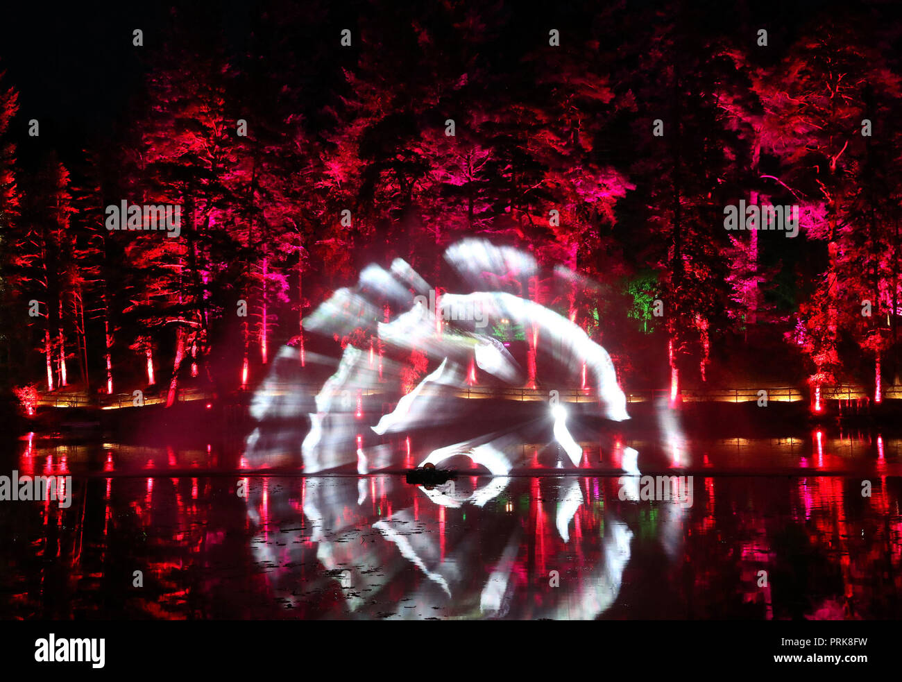 Animal animations are projected onto a water fountain in Loch Dunmore at The Enchanted Forest sound and light festival in Faskally Wood in Pitlochry. Stock Photo