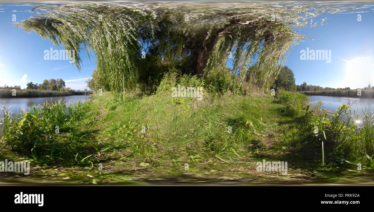 Willow Tree Water Germany Stock Photos Willow Tree Water Germany
